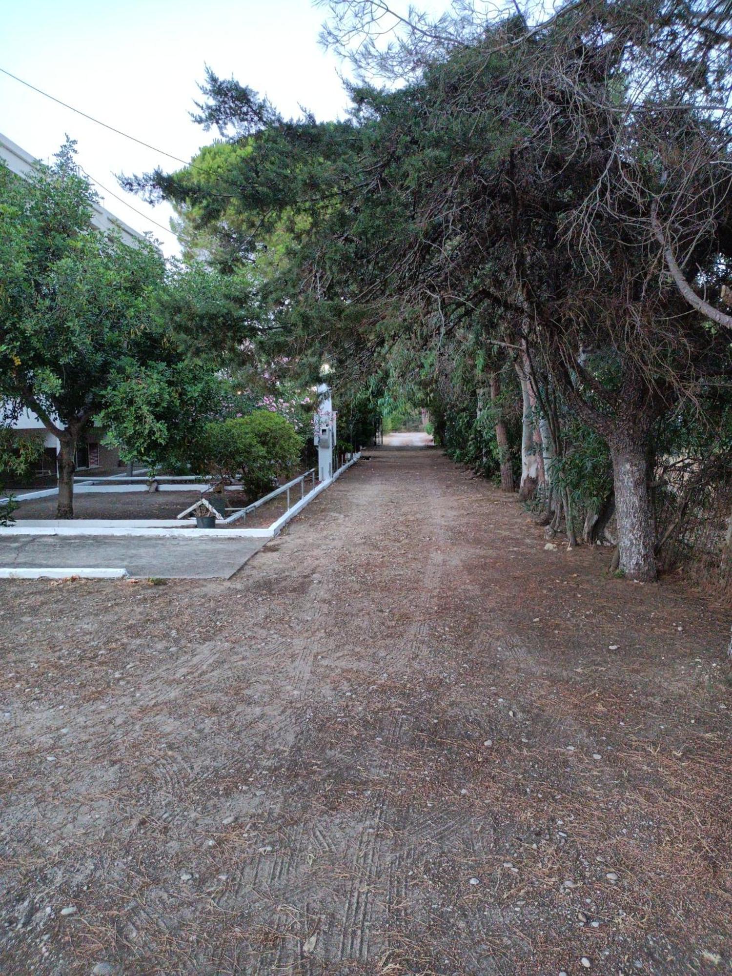 Luxurious Beach Katakolo
