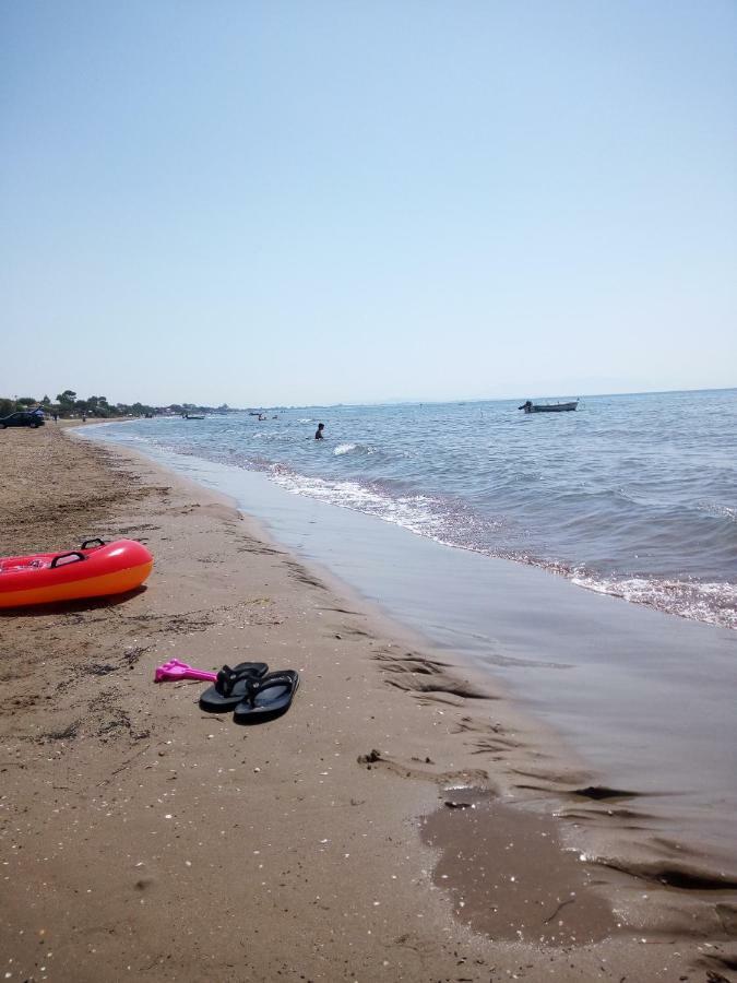 Luxurious Beach